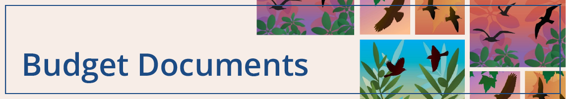 budget documents
